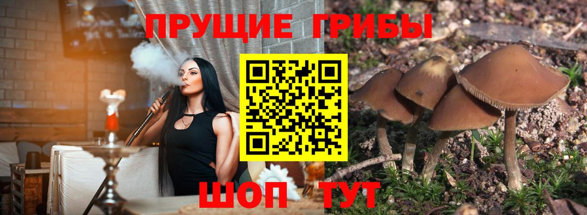 Псилоцибиновые грибы мицелий  Вход с VPN  Ковров 