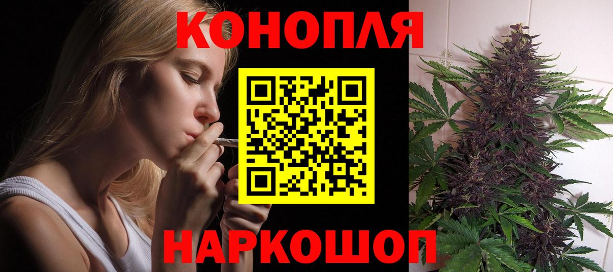 Шишки марихуана конопля Ковров
